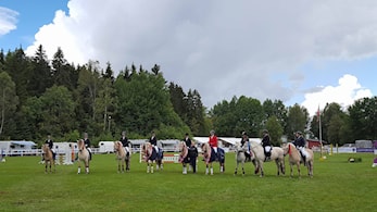 NM Fjordhest 2017